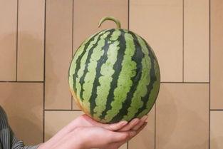 衢州 吃瓜,瓜果飘香，品味生活之美