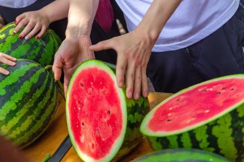 男大学吃瓜,揭秘男大学生吃瓜背后的故事