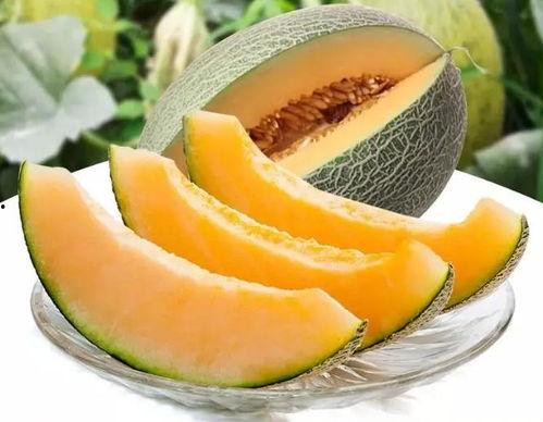 我想去旅游吃瓜,畅游美食之旅