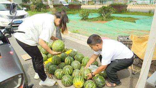 自由吃瓜基地的,揭秘网络舆论场的狂欢与反思