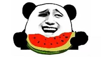 带你吃瓜电摇,带你揭秘“带你吃瓜电摇”背后的趣味与魅力