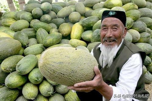 冬至吃新疆哈密瓜,甜蜜暖冬共享佳果