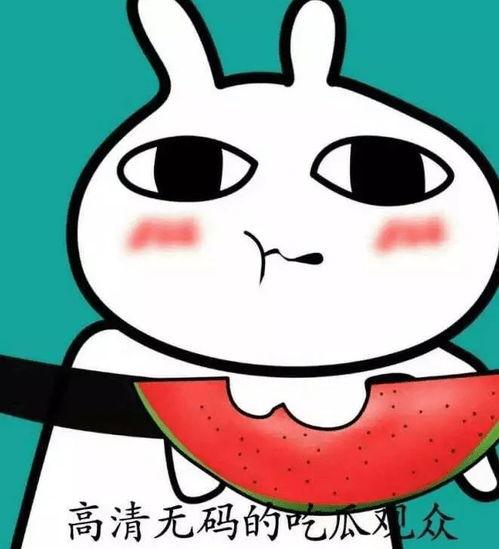吃瓜可爱头像,揭秘吃瓜可爱头像背后的魅力