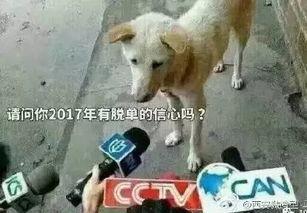 吃瓜卧槽图片大全,盘点那些爆笑的“卧槽”瞬间