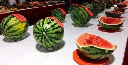 村超吃瓜,一场别开生面的足球狂欢