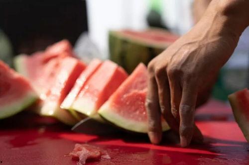 教育机构吃瓜,揭秘行业潜规则与利益纠葛