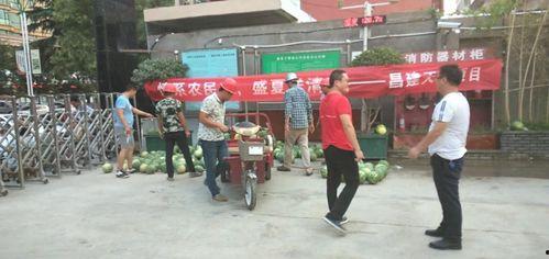 吃瓜群众看执勤,揭秘一线守护者的辛勤付出