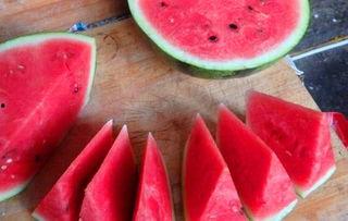 中原果农吃瓜,瓜果飘香，共享丰收喜悦