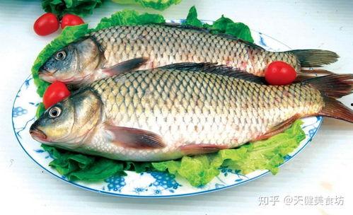 鲤鱼吃瓜完整视频,一场意想不到的趣味互动