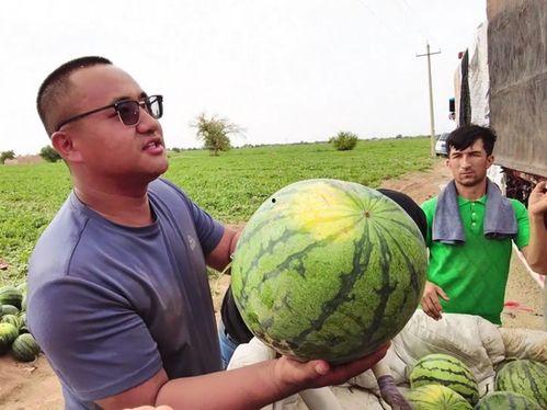 吃瓜基地新闻,揭秘娱乐圈幕后真相，带你走进明星生活