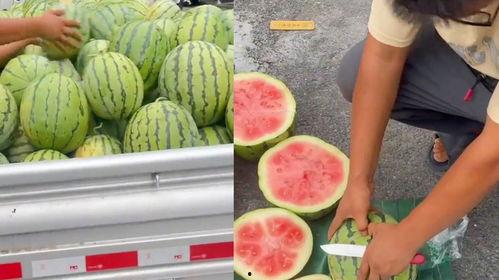 生瓜心可以吃吗,揭秘其食用安全与营养价值