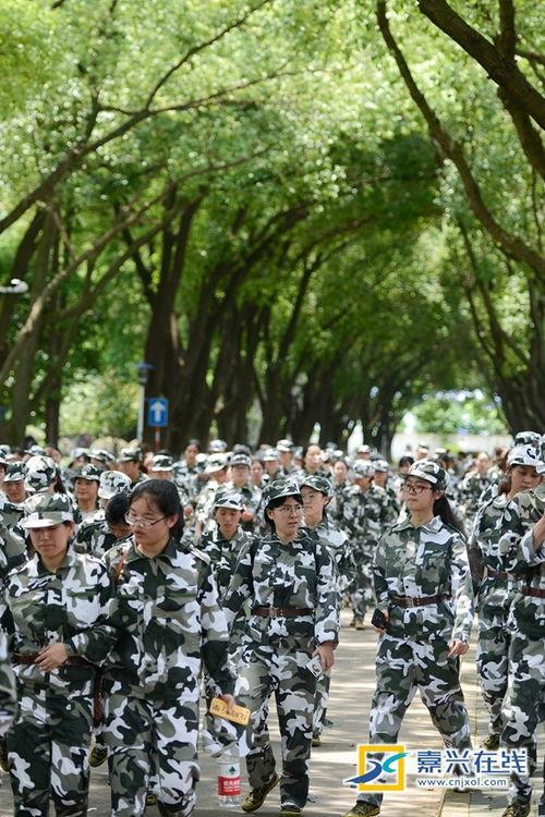 军训时吃瓜小说,揭秘军营里的那些秘密故事