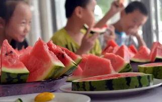 吃瓜节2019,全民狂欢，瓜界盛宴