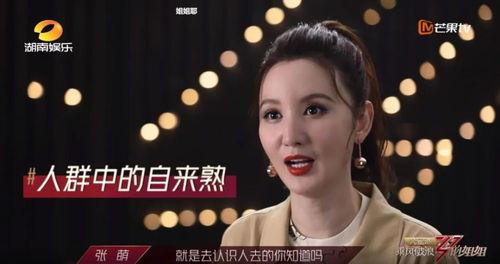 吃瓜战姐,揭秘娱乐圈幕后风云