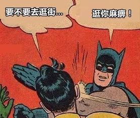 柯基兄弟吃瓜技巧