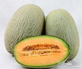 吃洋参可以吃哈密瓜,养生美食新体验