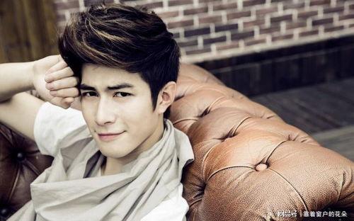 吃瓜爆料王瑞昌,王瑞昌背后的故事揭秘