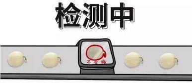 吃瓜群众问题辟谣,吃瓜群众问题辟谣大盘点