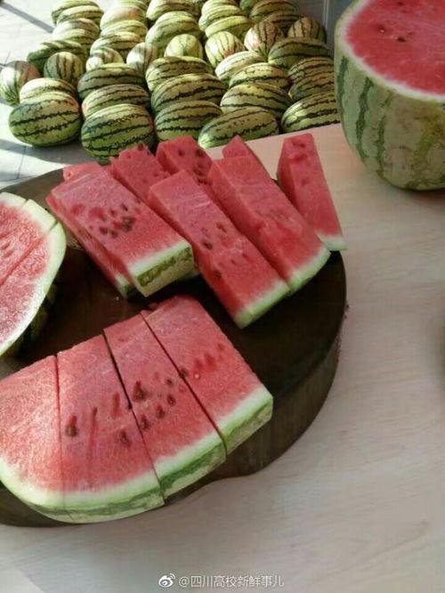 上大学吃的瓜,揭秘校园生活点滴趣事