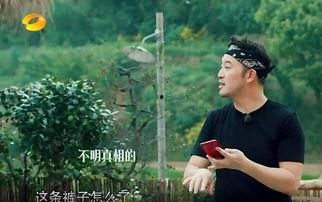 导演吃瓜事件真相,揭秘背后真相与争议