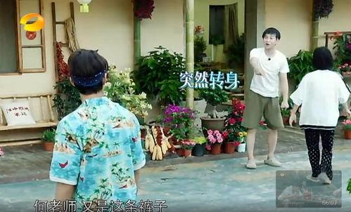 导演吃瓜事件真相,揭秘背后真相与争议