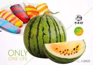 带你吃瓜公司,揭秘网红美食背后的故事