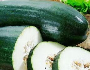 带你吃瓜公司,揭秘网红美食背后的故事