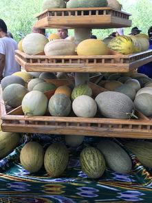 吃瓜在线观播放,揭秘热门事件背后的真相与笑料