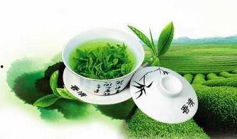 金仔吃瓜绿茶,揭秘娱乐圈的“瓜田”与“绿茶”现象