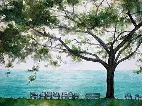 吃瓜要爱花,品味生活之美